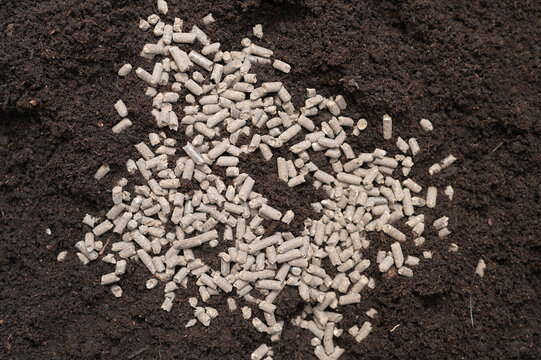Chicken Manure