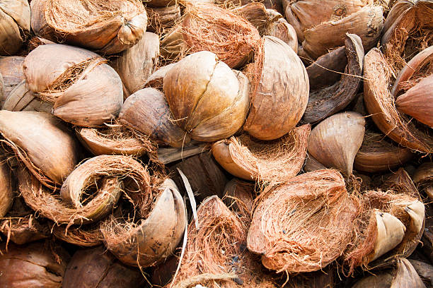 Coconut husk