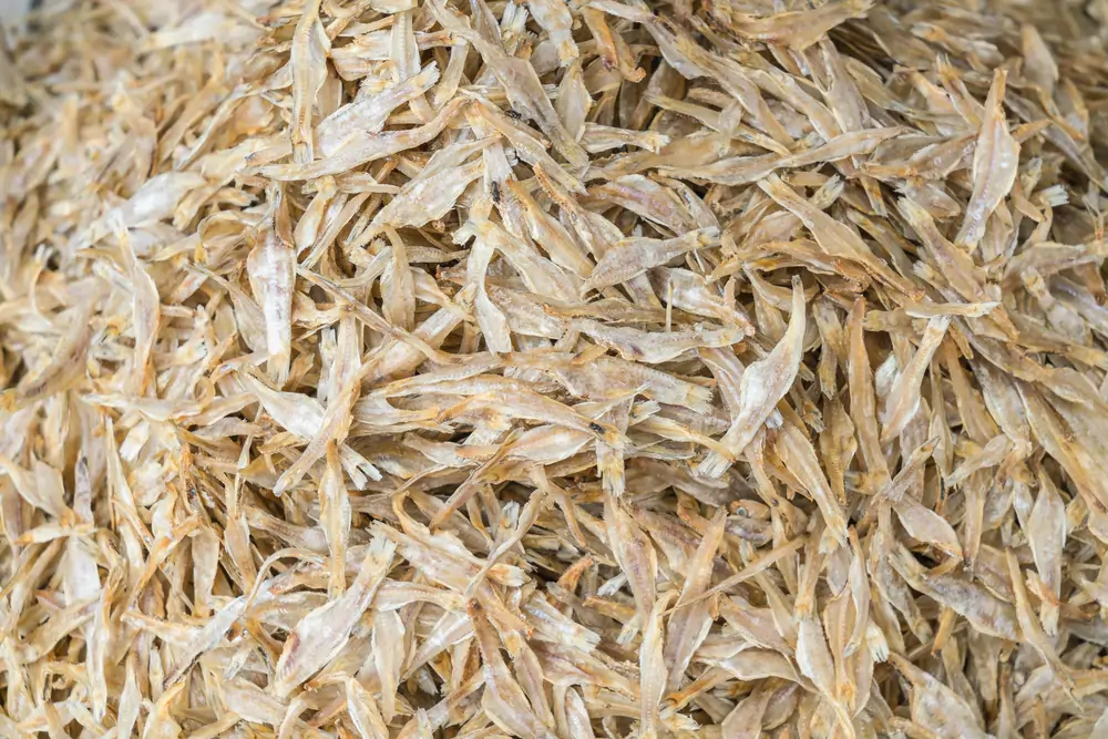 Rice Husk
